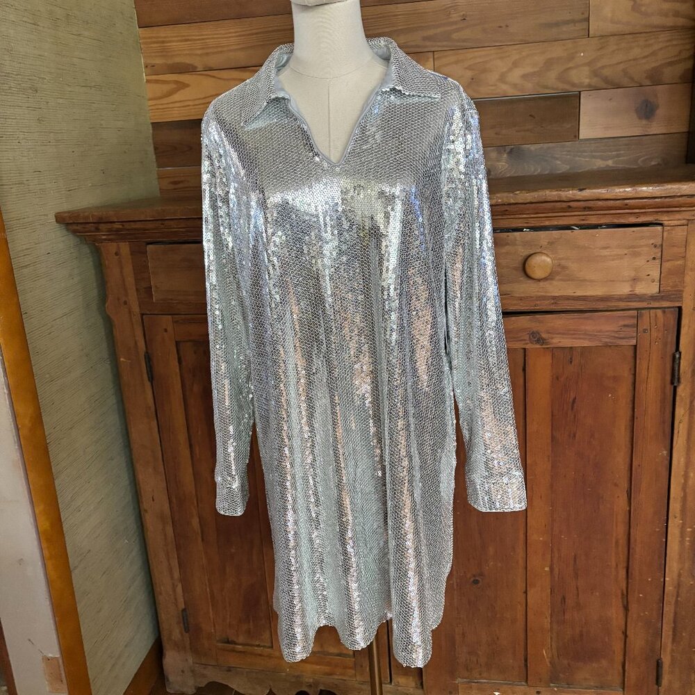 Silver Sequence Dress - image 1
